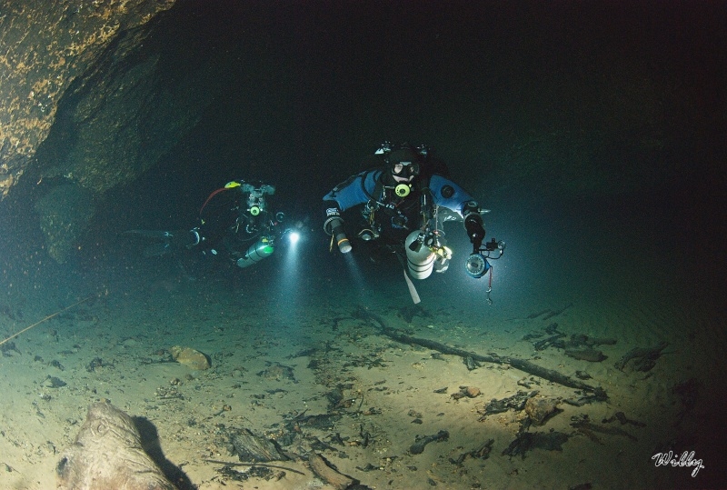 3 Florida-Manatee Springs 