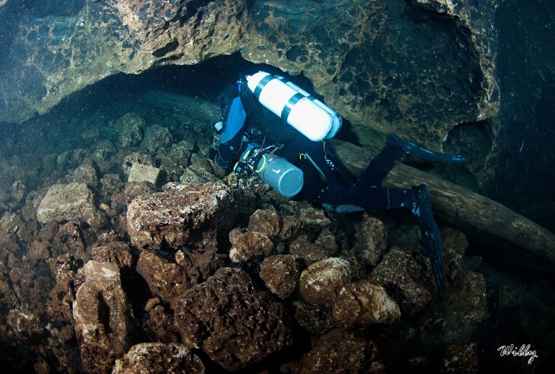 9 Florida-Manatee Springs