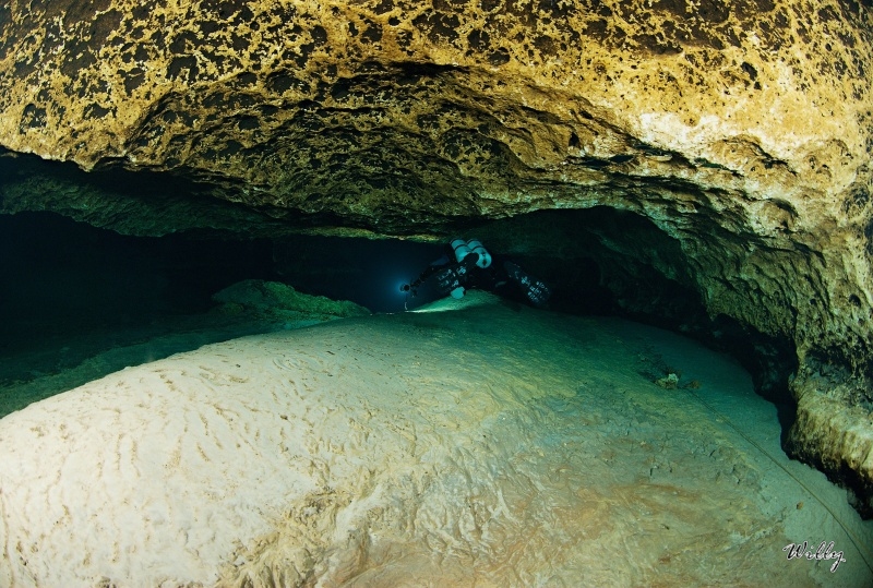 Florida-Ginne Springs 006