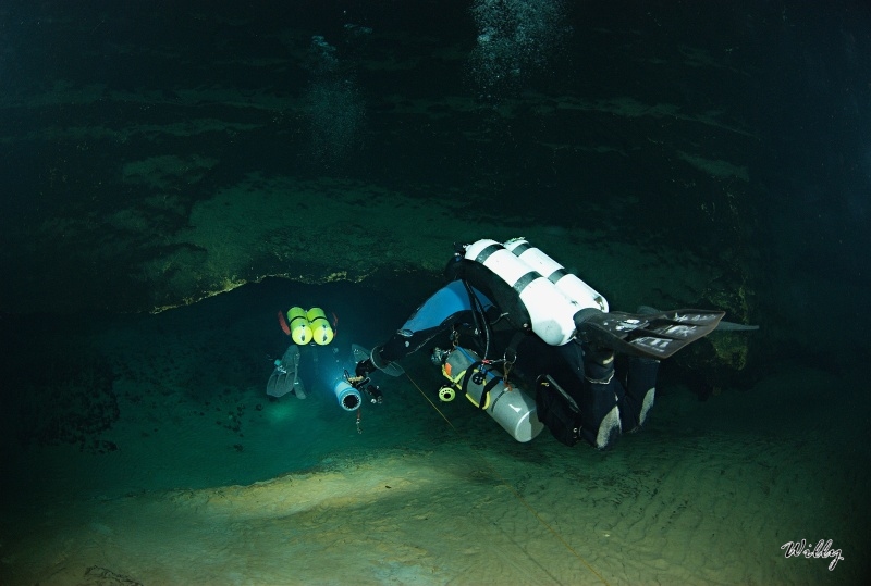 Florida-Ginne Springs 023