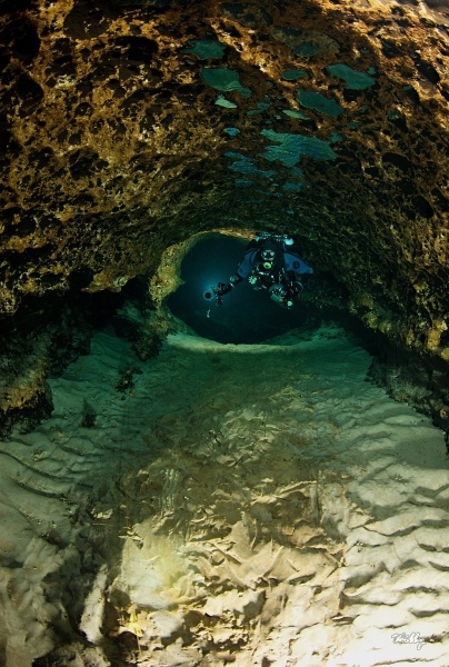 Florida-Ginne Springs 035