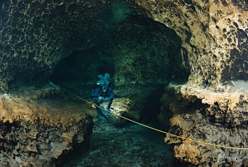 Florida-Ginne Springs 050