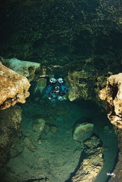 Florida-Ginne Springs 057