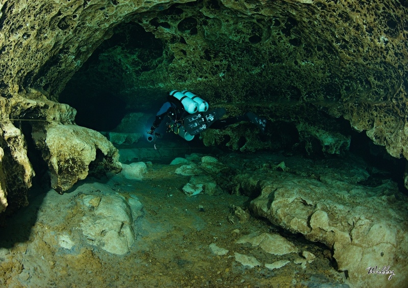 Florida-Ginne Springs 062