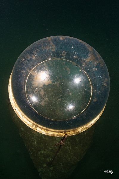26
