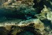 Florida-Ginnie Springs 041